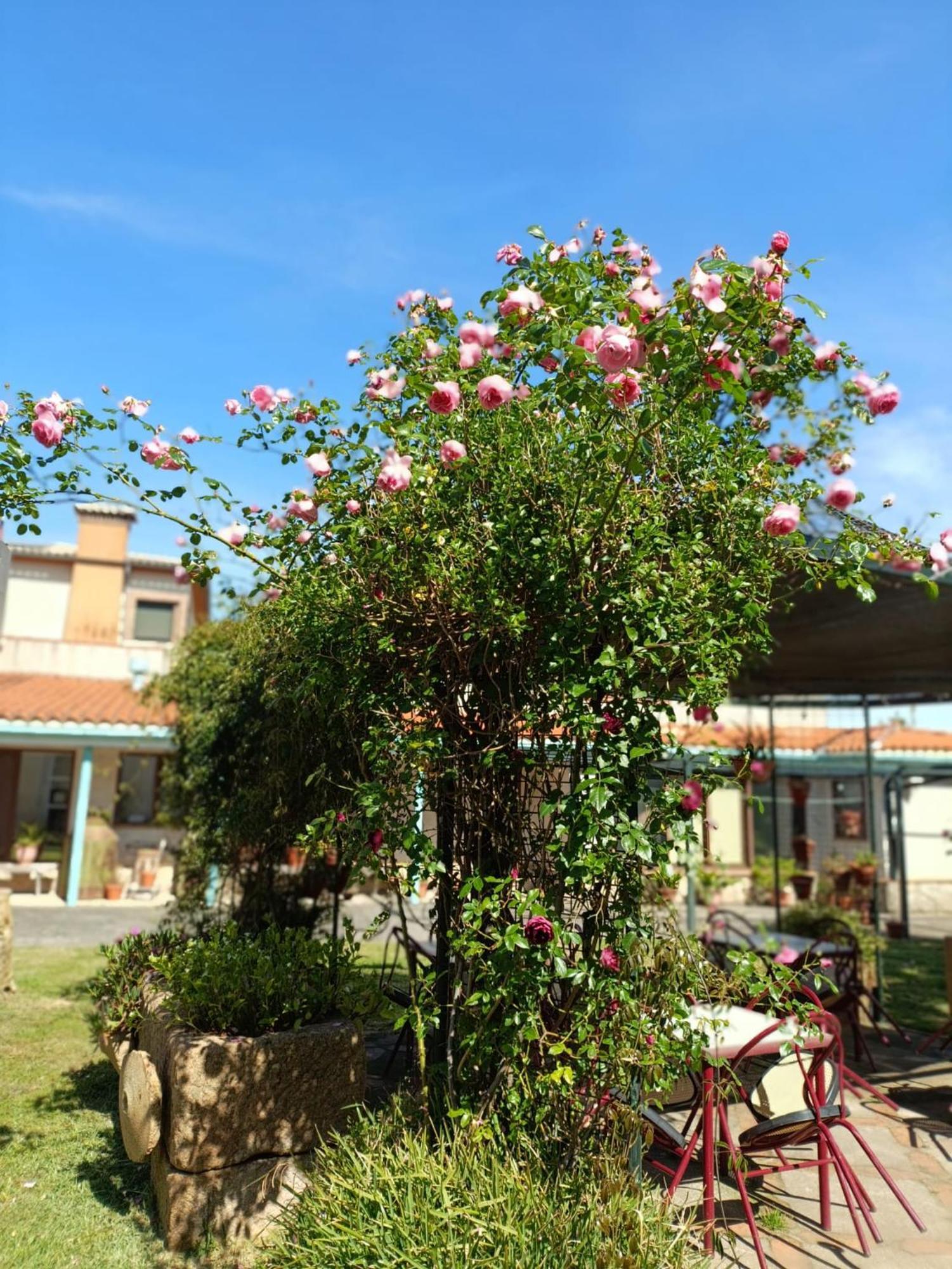 Casa Rural Del Corral Malpartida De Plasencia Exteriör bild
